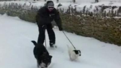 Brett Leese being pulled along by his pet collies Bill and Maggie