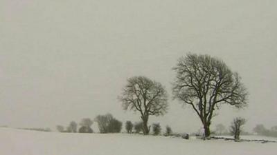 Snowbound landscape