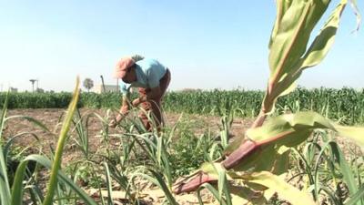 Farming by hand