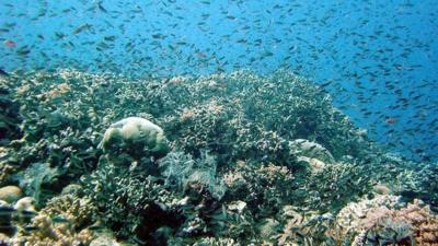 Great Barrier Reef