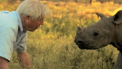 Sir David Attenborough with baby rhino