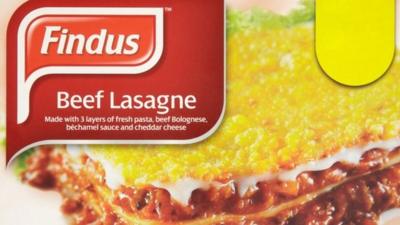 Findus Beef Lasagne