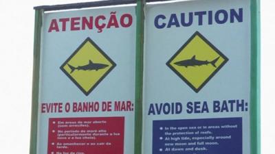 Signs warning of shark attacks