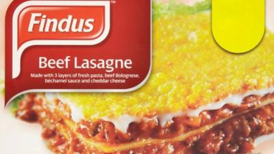 Findus Beef Lasagne