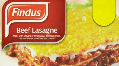 Findus lasagne