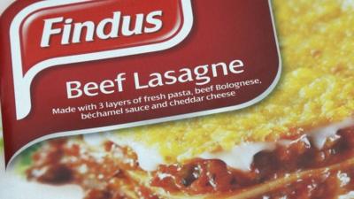 Findus Beef Lasagne