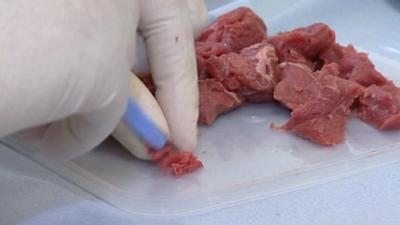 Meat being tested in laboratory