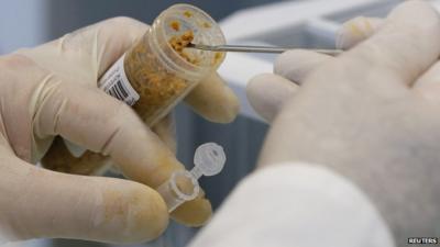 Meat being tested in a laboratory