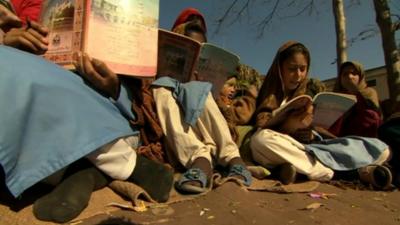 Pupils study outdoors