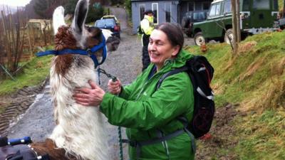 Carol Jerman with one of her llamas