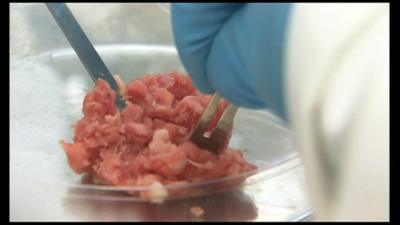 Meat dissected in laboratory