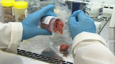 Meat tested in laboratory