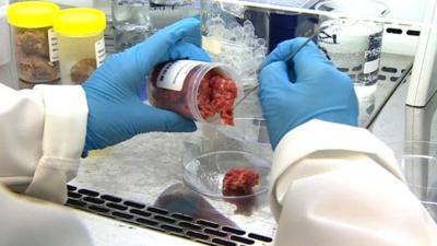 Meat being tested in laboratory