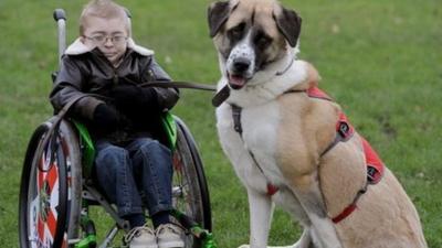 Owen Howkins and Haatchi