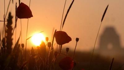 The sun rises over wild poppies growing on the edge of a field at Thiepval in northern France.