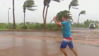 Man and trees in strong winds