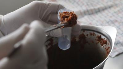 Meat being tested for DNA