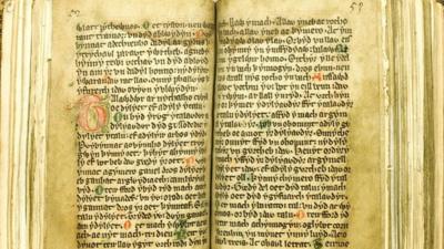 The Laws of Hywel Dda (generic medieval manuscript)