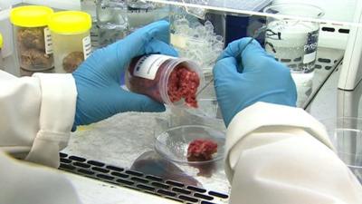 Meat being tested in a laboratory