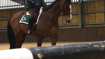 Kauto Star