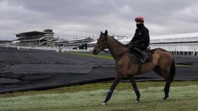 Paul Townend riding Quevega on a frozen Cheltenham racecourse