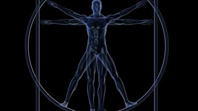 Vitruvian man