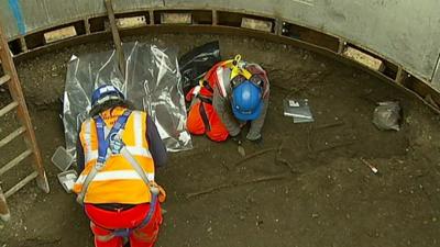 Archaeologists digging up the skeletons