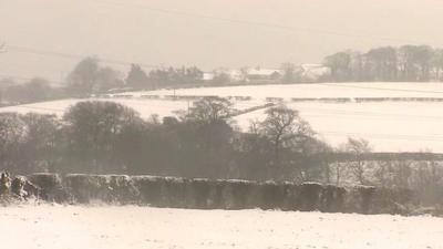 Snow in Belfast