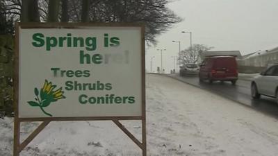 Sign saying "Spring is here" surrounded by snow