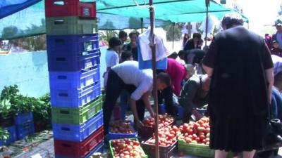 Farmers market outside of Nicosia near Anthopoulis in Cyprus