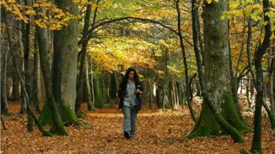 Woman walking through wood