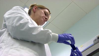 A scientist in a research laboratory