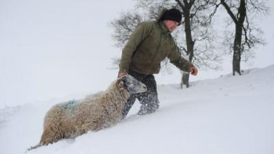 Farmer in the snow