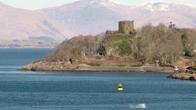 Whale in Oban Bay