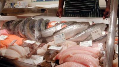 Fish counter