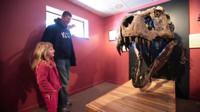 Child and her father examine a Tyrannosaurs skull