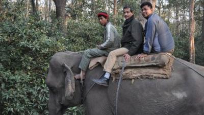 The BBC's Anbarasan Ethirajan on an an anti-poaching elephant patrol in the Chitwan national park