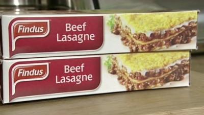 Findus beef lasagne