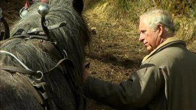 Prince Charles pats a horse