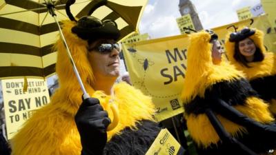 Bee-keepers and apiarists dressed up as bees