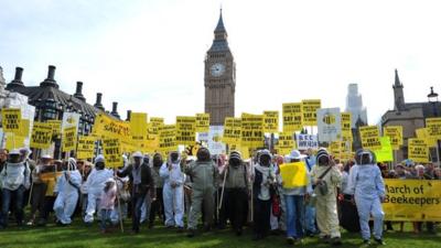 Beekeepers and demonstrators march on Parliament