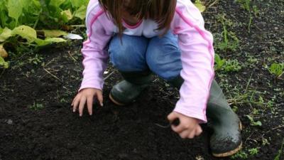 A young girl in an allotment