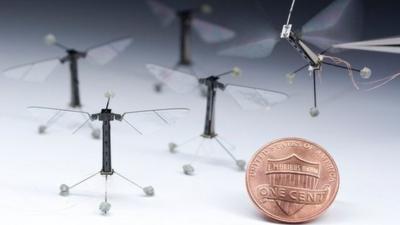 Tiny robotic insect