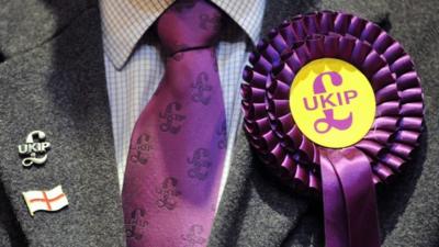 UKIP badge