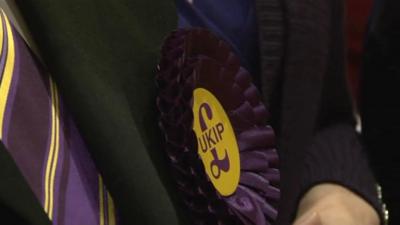 UKIP rosette