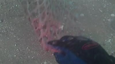 A diver removes a fishing net from the wreckage