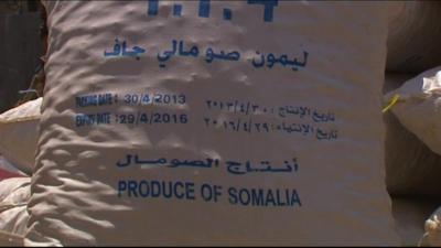 Somalia's new government embarks on new port trade