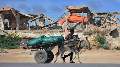 A man walks with a donkey carting sacks of charcoal