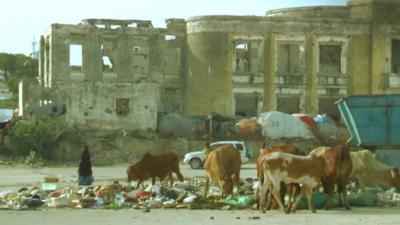 A ruined building with cows grazing in front of it