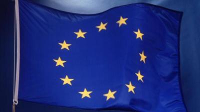 European Union flag